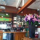 Chan Dara Bar - Interior at House of Chan Dara