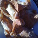 B1rkd2z80r3zobaby-xn-2-cream-cheese-wantons-thai-village-80x80