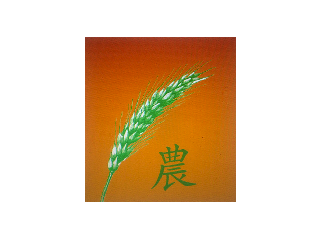 Logo at Noka Contemporary Japanese cuisine & sushi bar