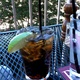 Refreshing Beverages On The Riverfront Patio - Dish at Boscos