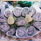 very good plate - ostones en su concha at Costa Azul Restaurant