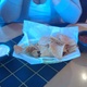 Plaza Tapatia Restorante - Ocean City, MD