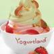 Food 2 - Dish at Yogurtland
